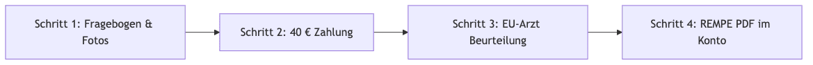 Process diagram showing Schritt 1: Fragebogen & Fotos, then Schritt 2: 40 € Zahlung, then Schritt 3: EU-Arzt Beurteilung, then Schritt 4: REMPE PDF im Konto