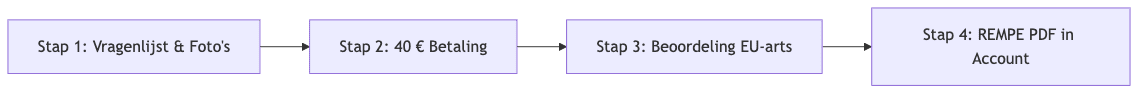 Process diagram showing Stap 1: Vragenlijst & Fotos, then Stap 2: 40 € Betaling, then Stap 3: Beoordeling EU-arts, then Stap 4: REMPE PDF in Account